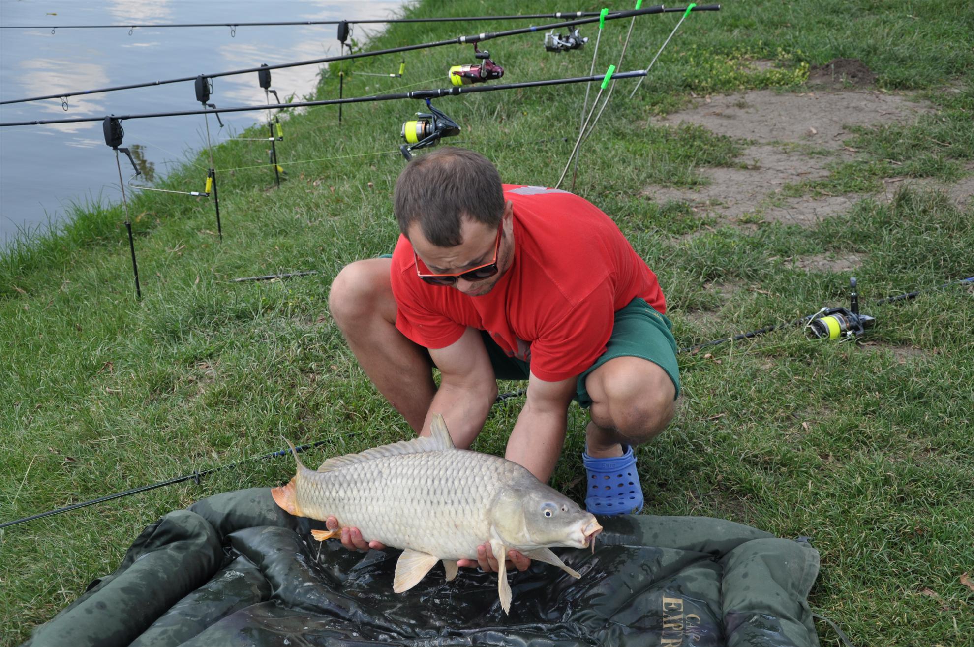 MV 2 - 09/06/2013 - dsc0018.JPG